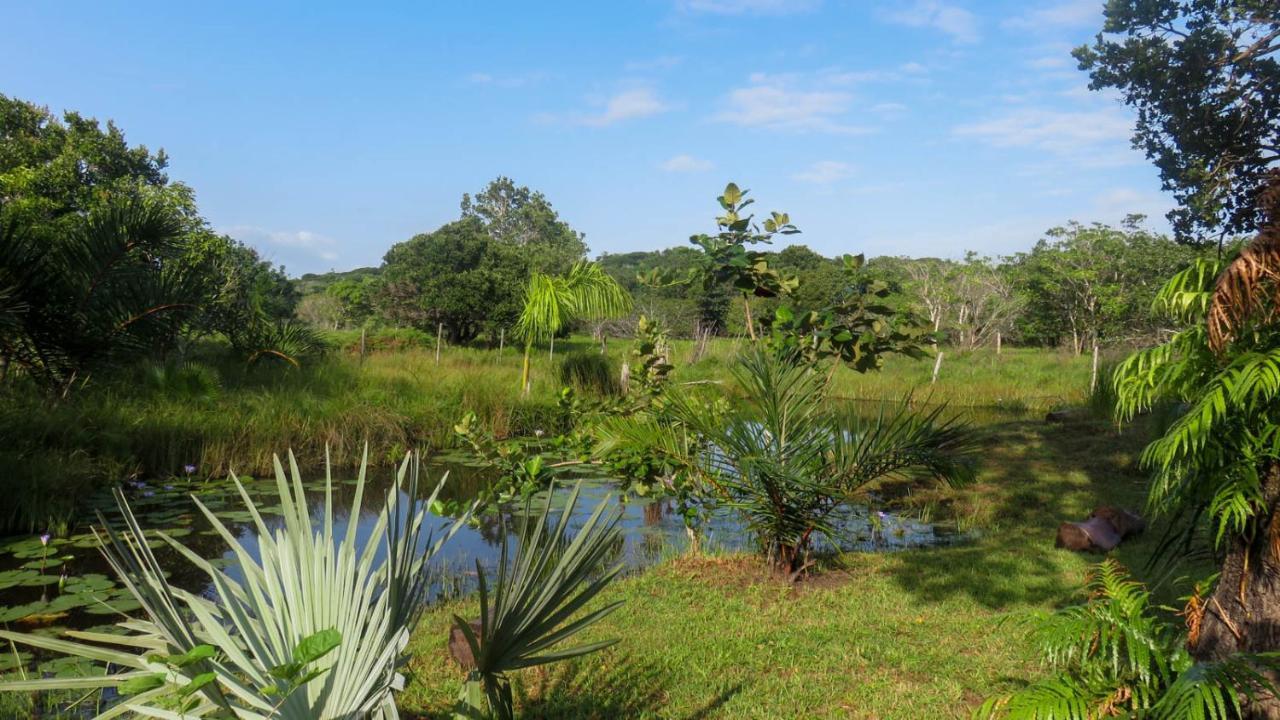 Lodge Umusa KwaMazambane Ngoại thất bức ảnh